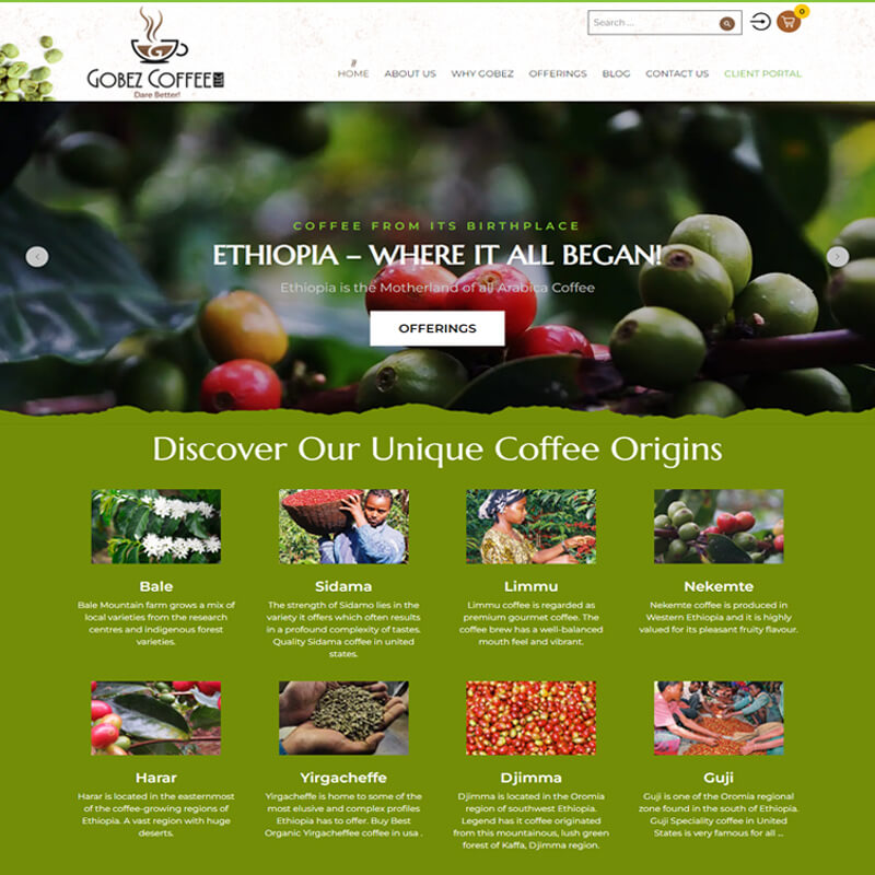 custom-wordpress-development-india