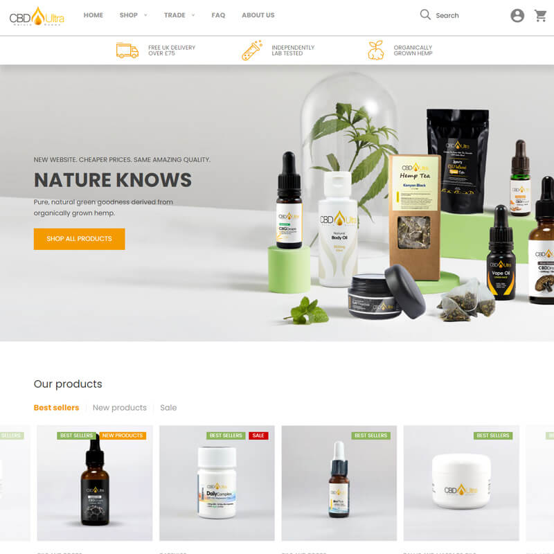 best-web-development-company-in-India