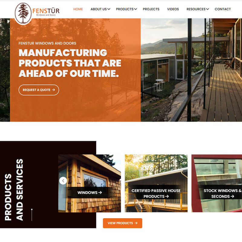 Web-development-company-in-India