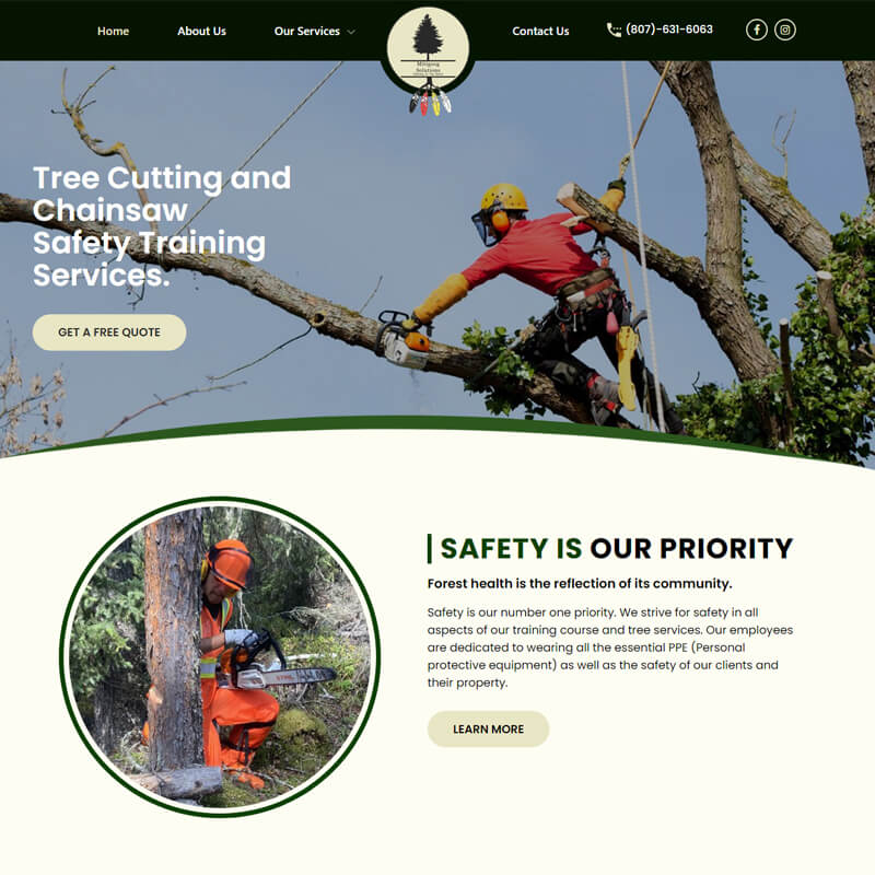 web-development-services-India