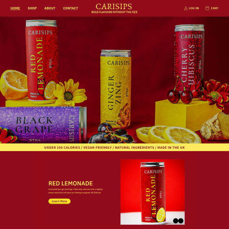 shopify website development cost in india